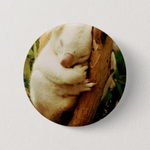 Weißer Koala-Bärn-Knopf Button