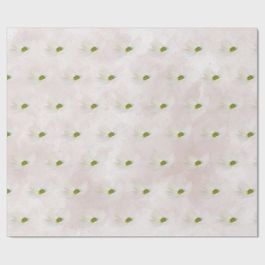 Weißer Kosmos in Rosa Geschenkpapier (Flach)