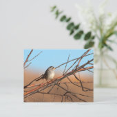 Weißer Kronenammer auf einem Stock Postkarte (Stehend Vorderseite)