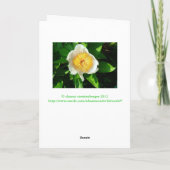 WEISSER KULTURPUNKT MIT GELBE ZENTRUM/CHERRY HILY  KARTE (Rückseite)