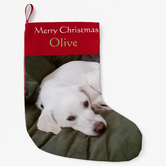 Weißer Labrador Mix Niedlicher Hund Kleiner Weihnachtsstrumpf (Vorderseite)