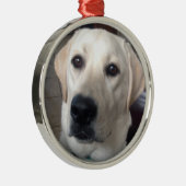 Weißer Labrador Ornament Aus Metall (Rechts)
