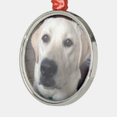 Weißer Labrador Ornament Aus Metall (Links)
