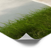 Weißer Lama mit Blauer Brille Poster (Ecke)