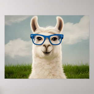 Weißer Lama mit Blauer Brille Poster