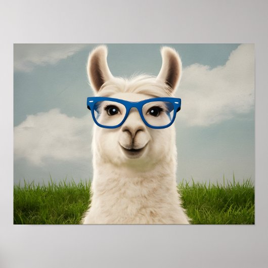 Weißer Lama mit Blauer Brille Poster (Vorne)