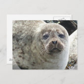 Weißer Leopard Siegel Postkarte (Vorne/Hinten)