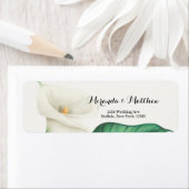 Weißer Lilie mit grüner Foliage (Insitu)