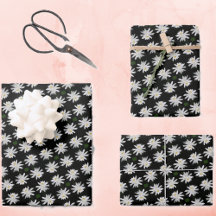 Weißer Lilie mit schwarzem Hintergrund - Blütenbod