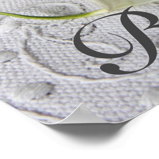 Weißer Lilienlilie Poster (Ecke)