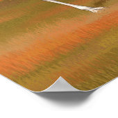 Weißer Llama im Herbst Poster (Ecke)