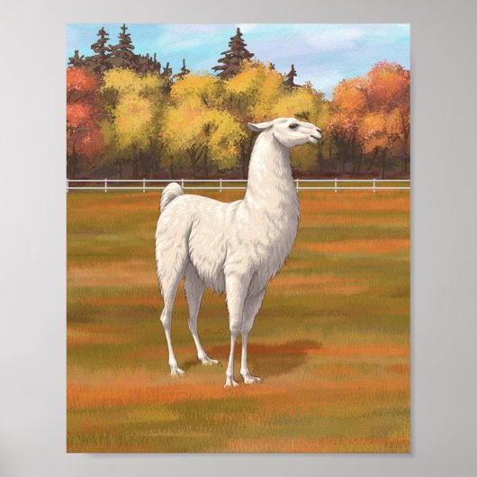 Weißer Llama im Herbst Poster (Vorne)