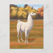 Weißer Llama im Herbst Postkarte (Vorderseite)