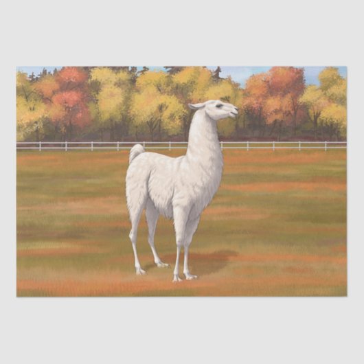 Weißer Llama im Herbst Seidenpapier (Vorderseite)