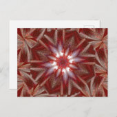 WEISSER LOTUS 12 POSTKARTE (Vorne/Hinten)