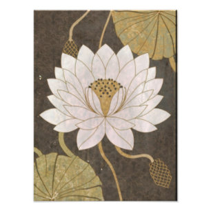 Weißer Lotus blüht inmitten ruhiger Gewässer Fotodruck