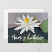 Weißer Lotus im Teich Happy Birthday Postkarte (Vorne/Hinten)