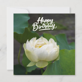 Weißer Lotus mit dem Wort Happy Birthday Postcard