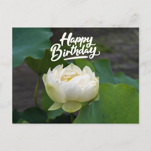 Weißer Lotus mit dem Wort Happy Geburtstag Postkarte (Vorderseite)