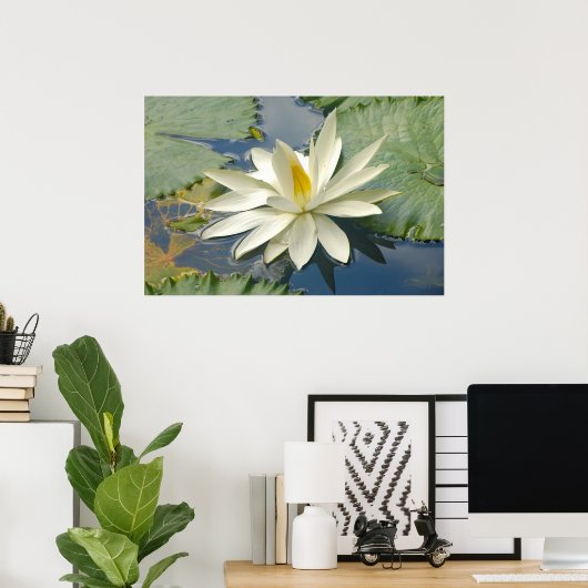 Weißer Lotus Poster (Heimbüro)