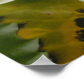 Weißer Lotus Poster (Ecke)