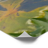 Weißer Lotus Poster (Ecke)