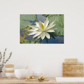 Weißer Lotus Poster (Küche)