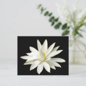 Weißer Lotus Postkarte (Stehend Vorderseite)