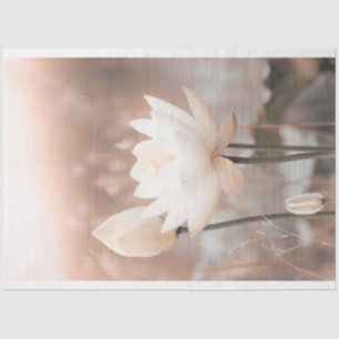Weißer Lotus, Rose Pink, Pampas Grass, schmiedeeis Seidenpapier