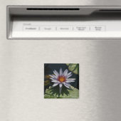 Weißer Lotus-Wasserlilie-Magnet Magnet (In Situ (Geschirrspüler))