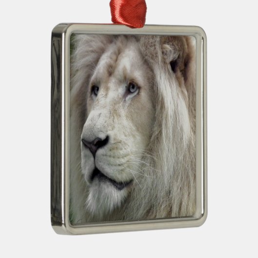 Weißer Löwe Silbernes Ornament (Rechts)