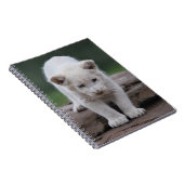 Weißer Löwenkrug Notizblock (Rechte Seite)