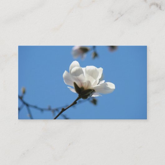 Weißer Magnolien-Blumen-Geschäfts-Karten-blauer Visitenkarte (Vorderseite)