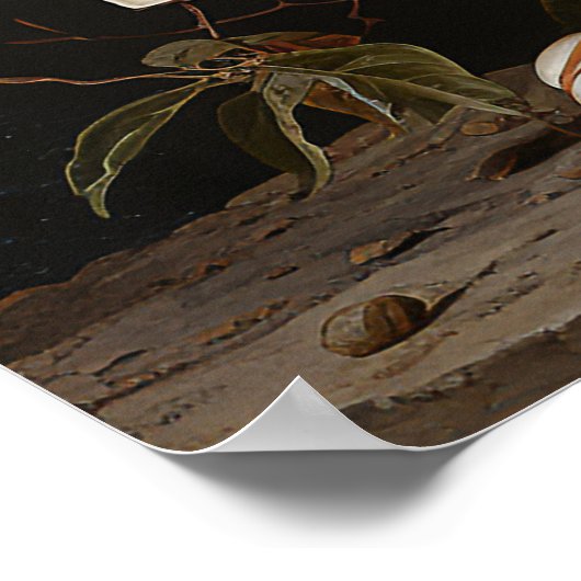 Weißer Magnolienzweig mit Blüte Poster (Ecke)