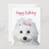 Weißer Malteser Tender Süße Feiertagspostkarte (Vorne/Hinten)