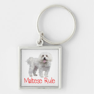 Weißer Malteser-Welpen-Hund-Schlüsselanhänger Schlüsselanhänger
