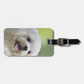 Weißer maltesischer Hund Gepäckanhänger (Vorderseite horizontal)