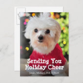 Weißer maltesischer Hund in roter Feiertagspostkarte (Vorne/Hinten)