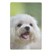 Weißer maltesischer Hund Mini Klemmbrett (Rückseite)
