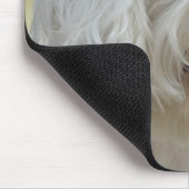 Weißer maltesischer Hund Mousepad (Ecke)