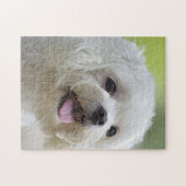 Weißer maltesischer Hund Puzzle (Horizontal)