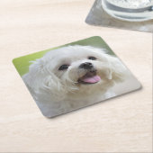 Weißer maltesischer Hund Rechteckiger Pappuntersetzer (angewinkelt)