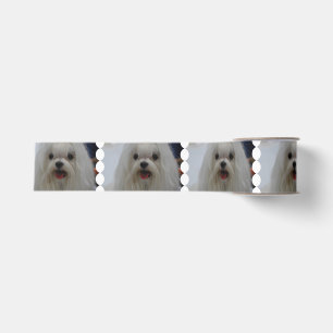 Weißer maltesischer Hund Ripsband