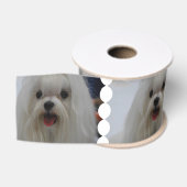 Weißer maltesischer Hund Ripsband (Spule)