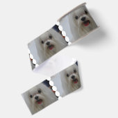 Weißer maltesischer Hund Ripsband (Rückseite)