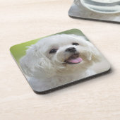 Weißer maltesischer Hund Untersetzer (Linke Seite)