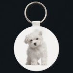 Weißer maltesischer Welpenhund Liebe Custom Schlüs Schlüsselanhänger<br><div class="desc">Liebe auf den ersten Blick! Wer kann dem süßen Gesicht eines maltesischen Welpenhundes widerstehen? Dieser lustige Schlüsselanhänger ist mit einem weißen Malteser Welpe stehend, der auf einem klaren, weißen Hintergrund steht. Jedes Mal, wenn Sie Ihre Tasten benutzen, schickt Ihnen dieser niedliche Malteser Pup viel Liebe. Ein Welpen-Schlüsselanhänger macht sich selbst...</div>