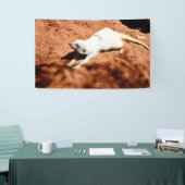 Weißer Meerkat-Schnitt, Wall-Banner Banner (Messeveranstaltung)
