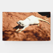 Weißer Meerkat-Schnitt, Wall-Banner Banner (Horizontal)