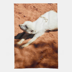 Weißer Meerkat-Stretching, Dickhandtuch Geschirrtuch